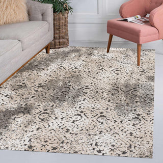 Tannisby High-Low Shabby Damask Indoor/Outdoor Area Rug