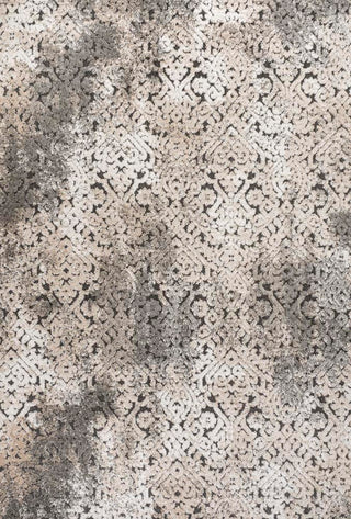 Tannisby High-Low Shabby Damask Indoor/Outdoor Area Rug