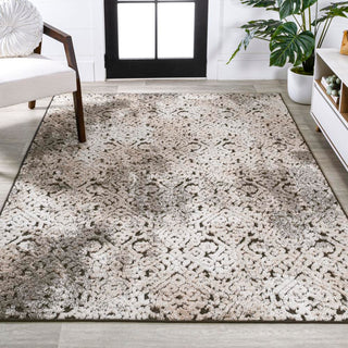 Tannisby High-Low Shabby Damask Indoor/Outdoor Area Rug