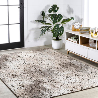 Tannisby High-Low Shabby Damask Indoor/Outdoor Area Rug