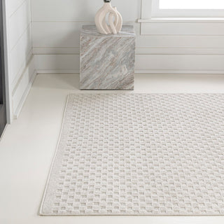 Tartan High-Low Modern Minimalist Checkered Monotone Indoor/Outdoor Area Rug