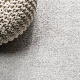 Trivor Haze Solid Low-Pile Area Rug Ivory