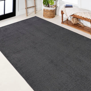 Trivor Haze Solid Low-Pile Area Rug Black