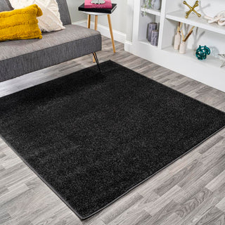 Trivor Haze Solid Low-Pile Area Rug Black