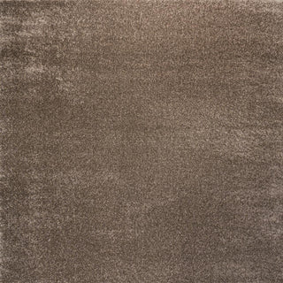 Trivor Haze Solid Low-Pile Area Rug Brown