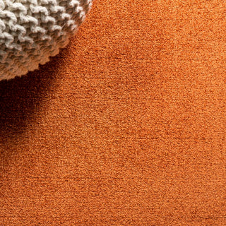 Trivor Haze Solid Low-pile Area Rug Orange