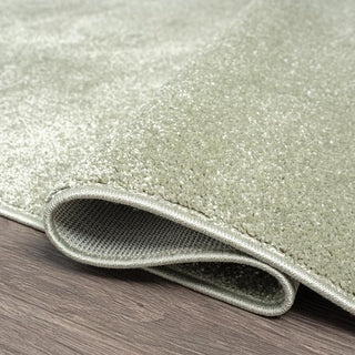 Trivor Haze Solid Low-pile Area Rug Green