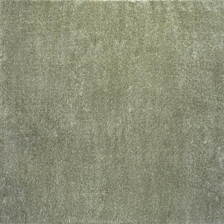 Trivor Haze Solid Low-pile Area Rug Green