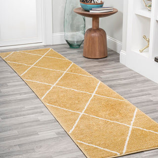 Bounty Minimalist Diamond Trellis Area Rug