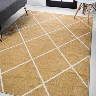 Bounty Minimalist Diamond Trellis Area Rug