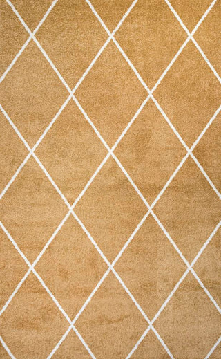 Bounty Minimalist Diamond Trellis Area Rug