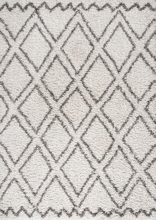 Mealhada Soller Diamond Trellis Shag Area Rug