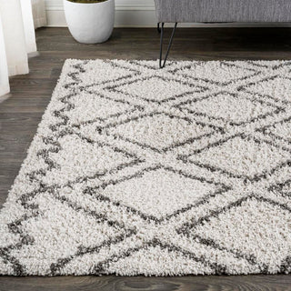 Mealhada Soller Diamond Trellis Shag Area Rug