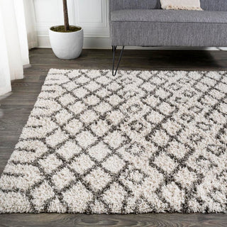 Montijo Algaida Moroccan Diamond Shag Area Rug