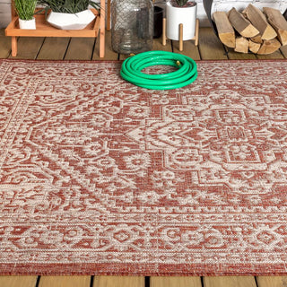 Luke Medallion Textured Weave Indoor/outdoor Area Rug