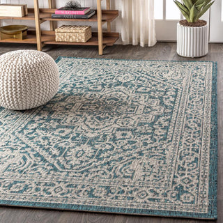 Luke Medallion Textured Weave Indoor/outdoor Area Rug