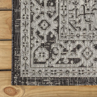 Luke Medallion Textured Weave Indoor/outdoor Area Rug