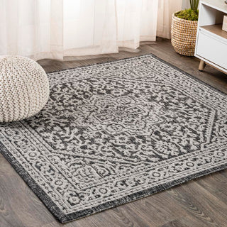 Luke Medallion Textured Weave Indoor/outdoor Area Rug