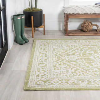 Luke Medallion Textured Weave Indoor/outdoor Area Rug