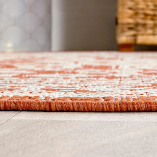 Luke Medallion Textured Weave Indoor/outdoor Area Rug