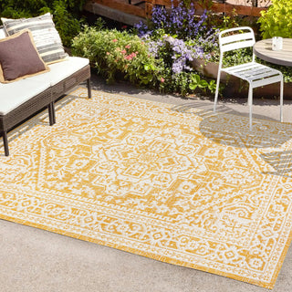 Luke Medallion Textured Weave Indoor/outdoor Area Rug