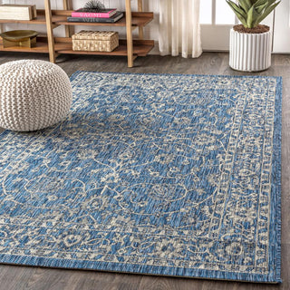 Huon Palazzo Vine and Border Area Rug