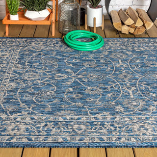 Huon Palazzo Vine and Border Area Rug