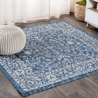 Huon Palazzo Vine and Border Area Rug