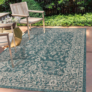 Huon Palazzo Vine and Border Area Rug