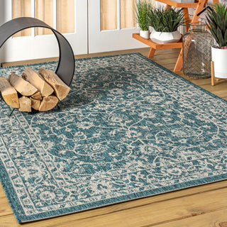 Huon Palazzo Vine and Border Area Rug