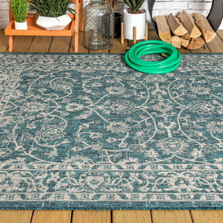 Huon Palazzo Vine and Border Area Rug