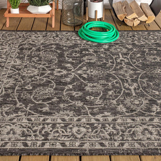 Huon Palazzo Vine and Border Area Rug