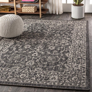 Huon Palazzo Vine and Border Area Rug