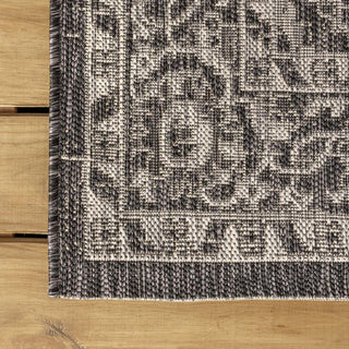 Huon Palazzo Vine and Border Area Rug