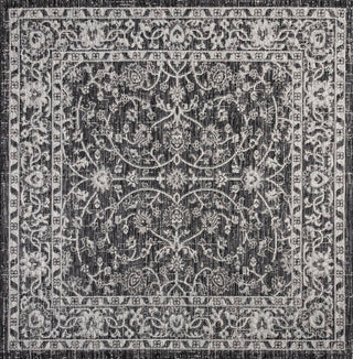 Huon Palazzo Vine and Border Area Rug