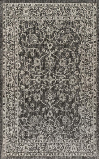 Huon Palazzo Vine and Border Area Rug