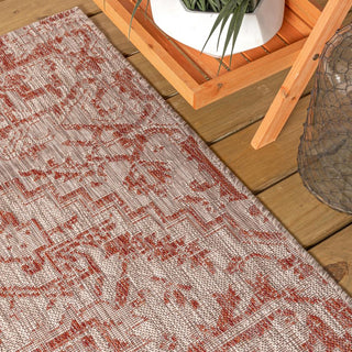 Cascade Bohemian Medallion Textured Weave Indoor/outdoor Area Rug