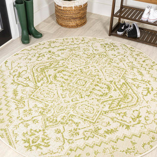 Cascade Bohemian Medallion Textured Weave Indoor/outdoor Area Rug