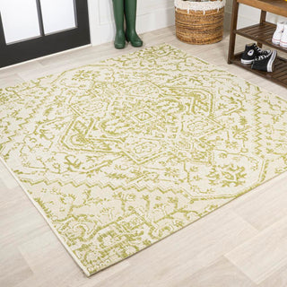 Cascade Bohemian Medallion Textured Weave Indoor/outdoor Area Rug