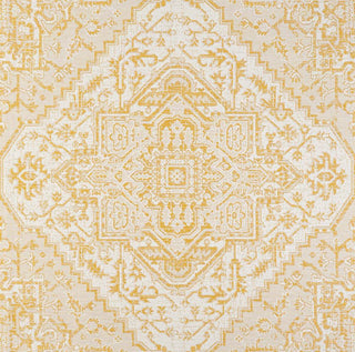 Cascade Bohemian Medallion Textured Weave Indoor/outdoor Area Rug