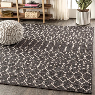 Dean Moroccan Geometric Textured Weave Indoor/outdoor Area Rug