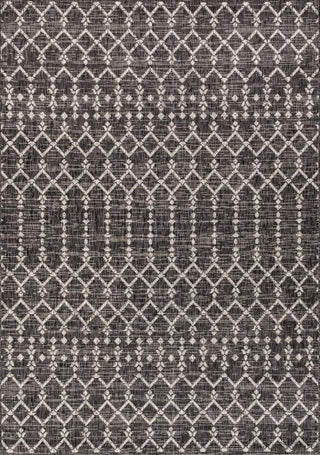 Dean Moroccan Geometric Textured Weave Indoor/outdoor Area Rug