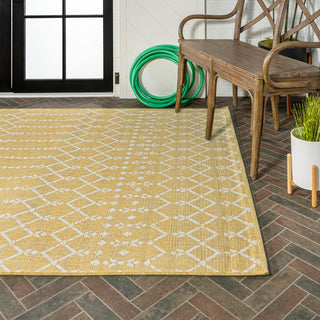 Dean Moroccan Geometric Textured Weave Indoor/outdoor Area Rug