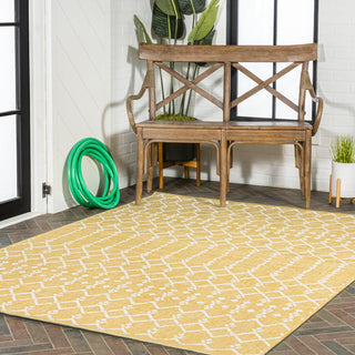 Dean Moroccan Geometric Textured Weave Indoor/outdoor Area Rug