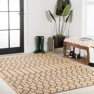 Dean Moroccan Geometric Textured Weave Indoor/outdoor Area Rug