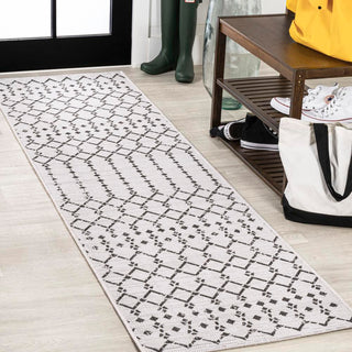 Dean Moroccan Geometric Textured Weave Indoor/outdoor Runner Rug