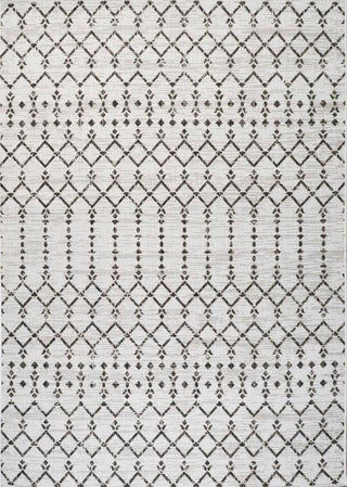 Dean Moroccan Geometric Textured Weave Indoor/outdoor Area Rug