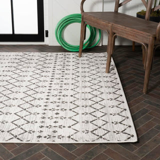 Dean Moroccan Geometric Textured Weave Indoor/outdoor Area Rug