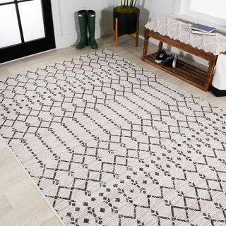 Dean Moroccan Geometric Textured Weave Indoor/outdoor Area Rug