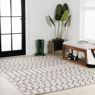 Dean Moroccan Geometric Textured Weave Indoor/outdoor Area Rug